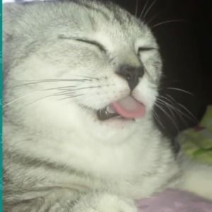 Meet your Posher, Jenason